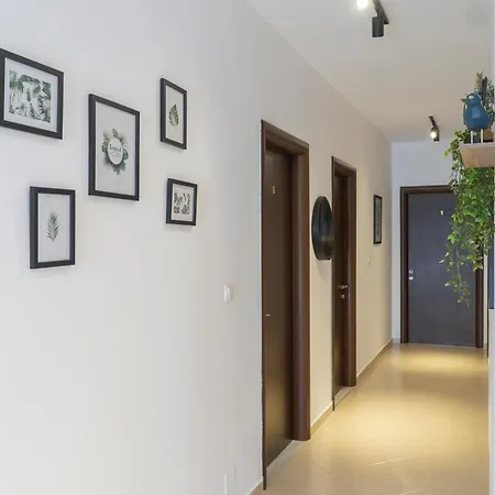 Oleva Studio's & 4* Ksamil